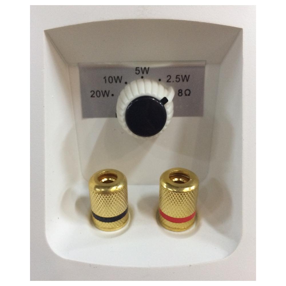 Parlante Instalacion Accuracy Pro Audio RA-1107TB 4" 20W