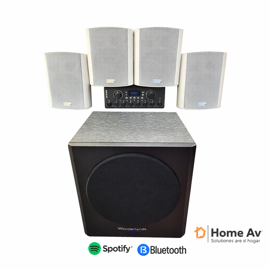 Kit Musica Ambiental 4.1