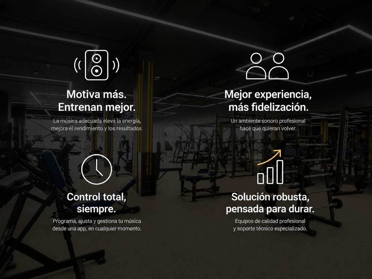Kit de Audio 10 Parlantes Instalado