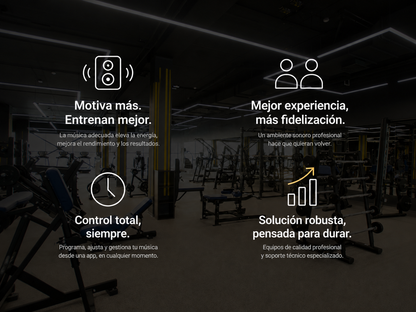 Kit de Audio 10 Parlantes Instalado